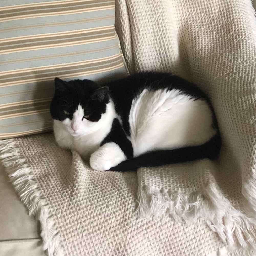 Meet your Posher, Penni